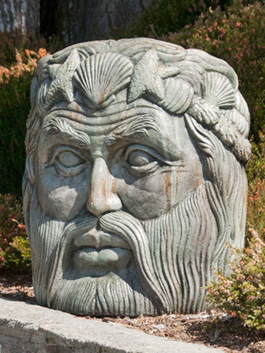 Neptune Face
